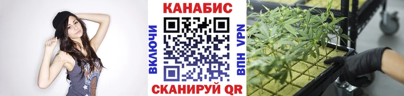 Бошки марихуана ГИДРОПОН  Камышин 